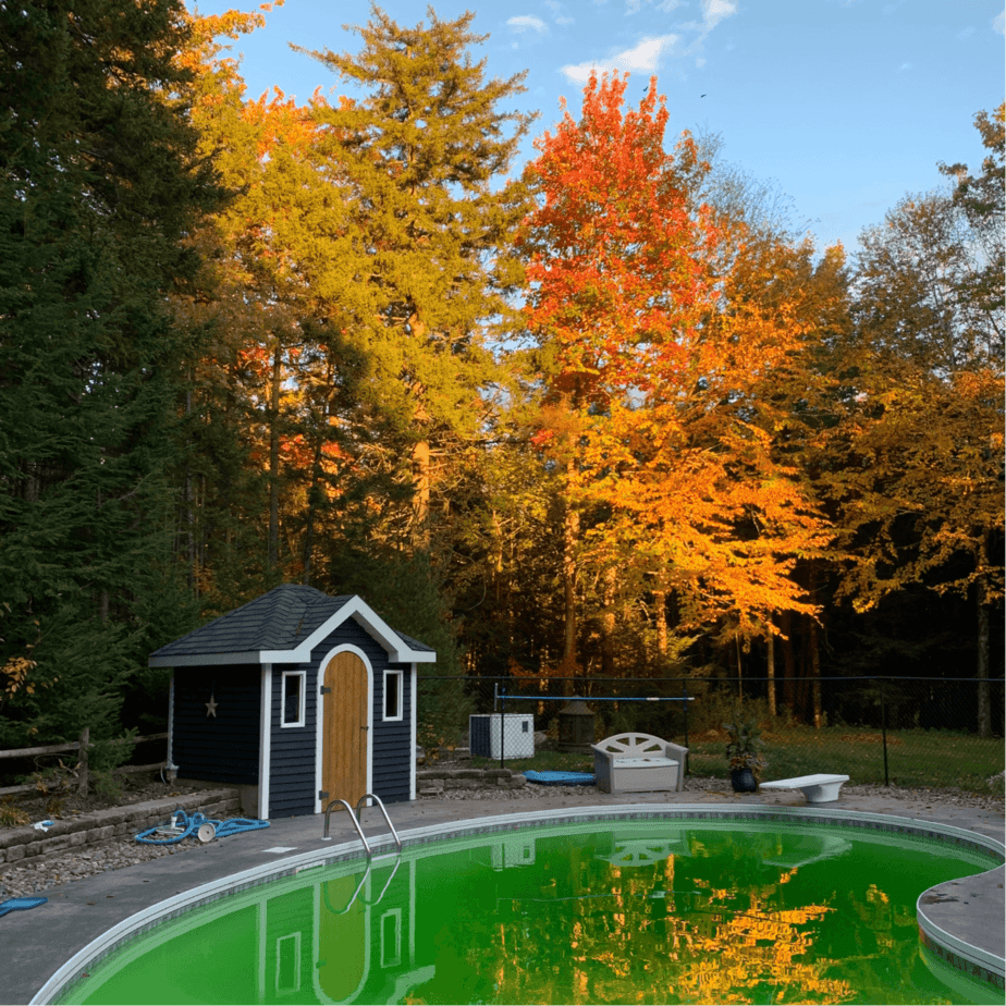In the foreground is a swimmingpool which is an unhealthy shade of green. There is a small hut beside the pool with a forest behind. The sun is shining on some of the trees and enhancing their autumnal colours of yellow, gold and orange.